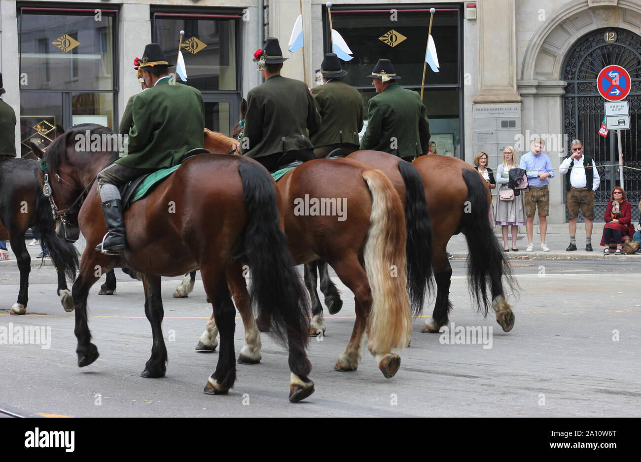 Oktoberfest. Parade von Kostümen und Schützen`s Clubs. Rückansicht von Reitern mit kaltblütigen Brauereipferden. Stockfoto